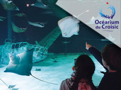 Ocearium de Croisic