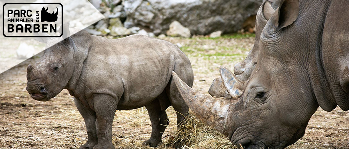 Zoo de la Barben (E-Billets)