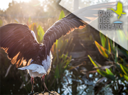 Parc des Oiseaux (E-Billets)