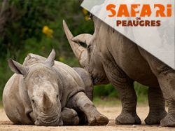 Safari de Peaugres (E-Billets)