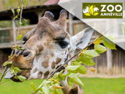 Zoo d'Amnéville