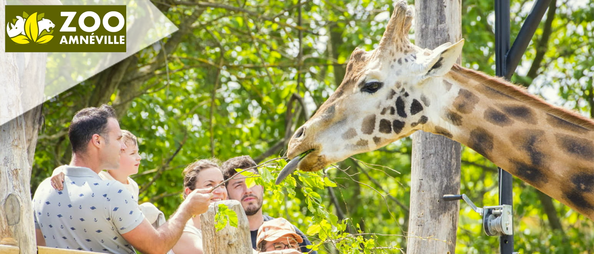 Zoo d'Amnéville